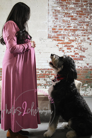 Maternity Session [peek] 35