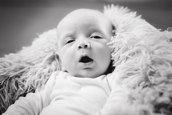 Lincoln [newborn] 013