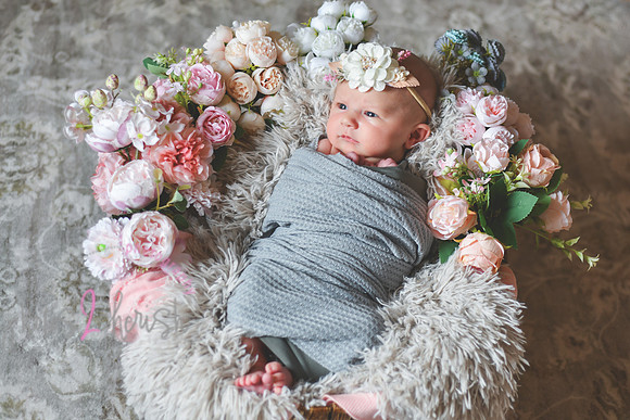 Amelia [newborn] images 015