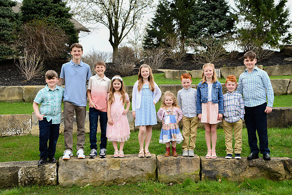 Brown Family proofs 334