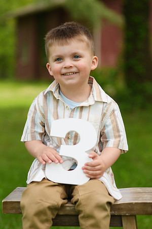 Coleson Turns Three 039