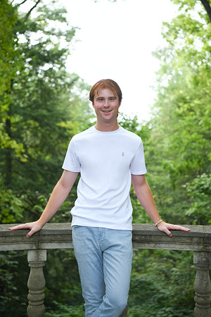 Briggs peek 071a