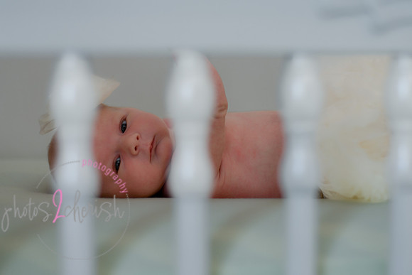 Amelia [newborn] images 143