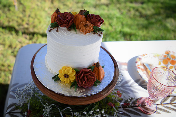 Hope & Teven reception 094