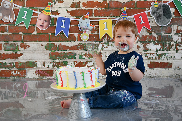 Logan 1st Birthday 249