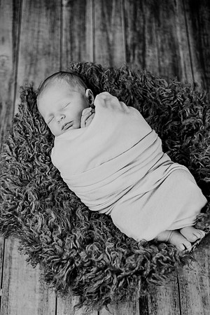 Noah Newborn 211