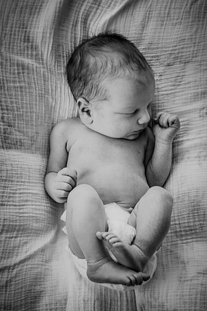 nolan [newborn]193