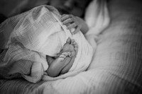 nolan [newborn] 003