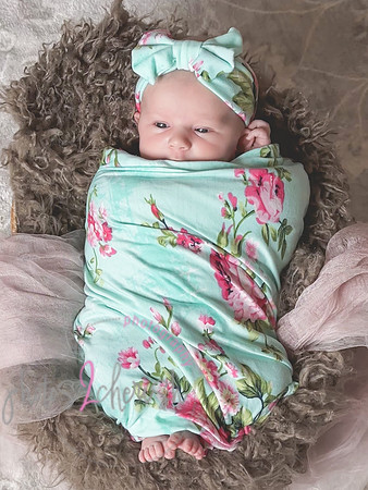 Amelia [newborn] images 113