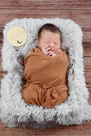 Carter [Newborn] 006