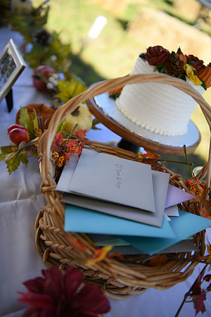 Hope & Teven reception 088