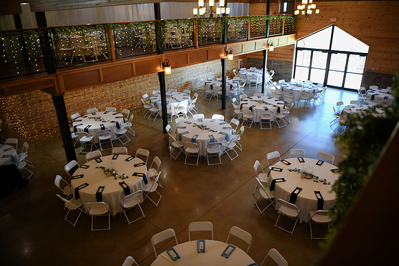 Piper & Eddie WD [reception] 074
