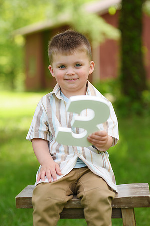 Coleson Turns Three 047