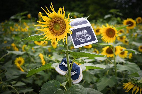 Baby H 181