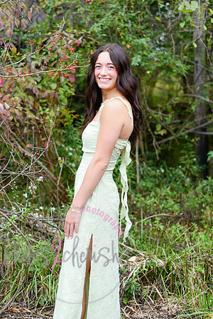 Kate [2025] proofs 111
