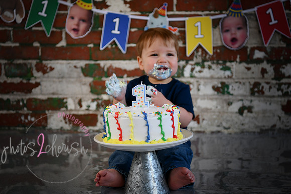 Logan 1st Birthday 171