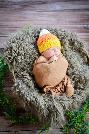 Baby Hart [peek] 41