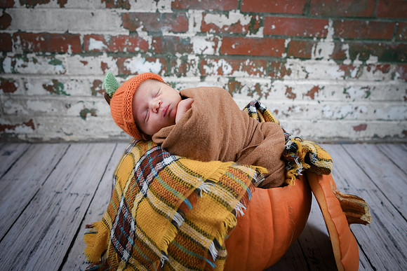 Baby Hart [peek] 62