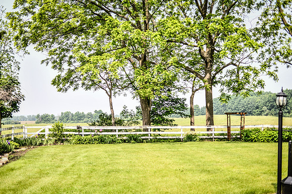 Carter & Marlah Wedding Photos [grounds fun edits] 163
