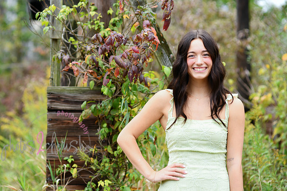 Kate [2025] proofs 087