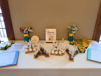 Baby Shower Photos 005
