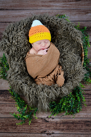 Baby Hart [peek] 14