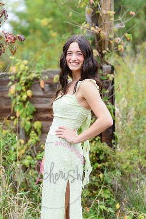 Kate [2025] proofs 099