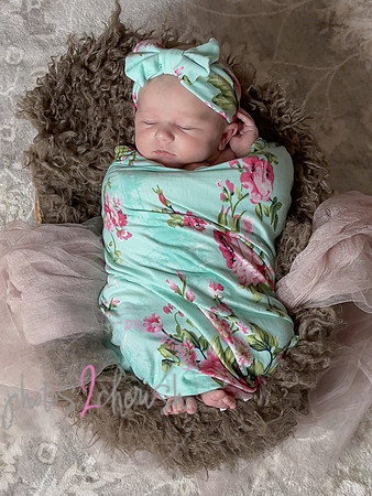 Amelia [newborn] images 112