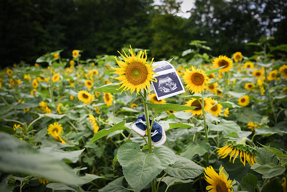 Baby H 195