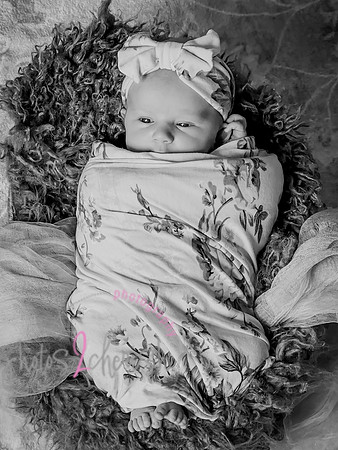 Amelia [newborn] images 115
