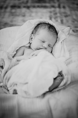 nolan [newborn] 076