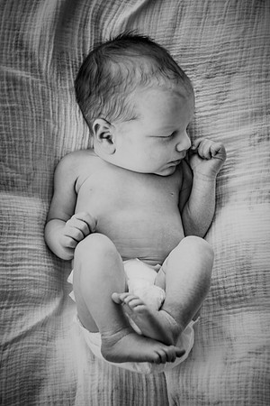 nolan [newborn]194