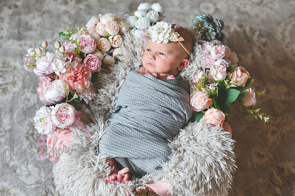 Amelia [newborn] images 016