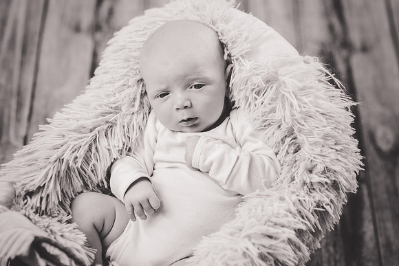 Lincoln [newborn] 003