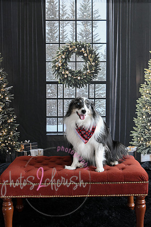 Holiday 2024 59