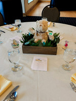 Baby Shower -14