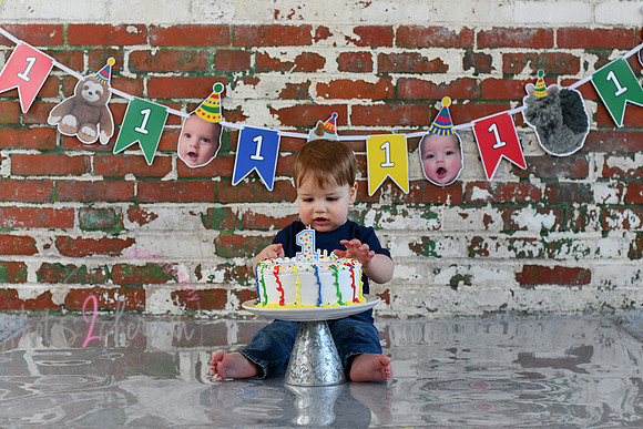 Logan 1st Birthday 088