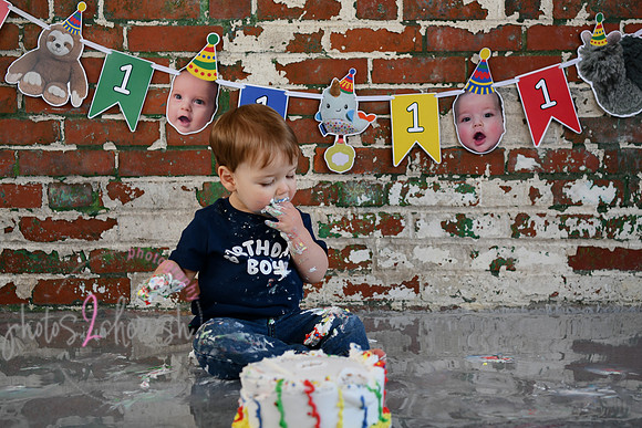 Logan 1st Birthday 270
