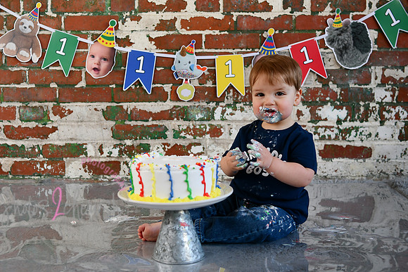 Logan 1st Birthday 225