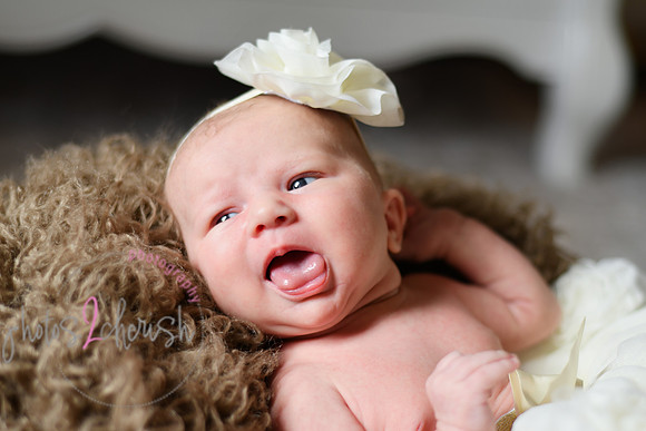 Amelia [newborn] images 075
