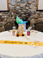 Baby Shower -237
