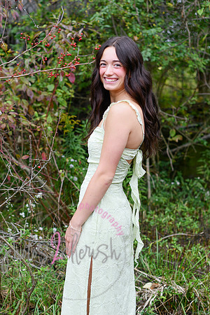 Kate [2025] proofs 106