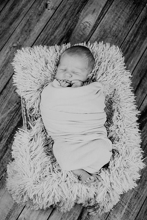 Noah Newborn 016