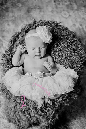 Amelia [newborn] images 059
