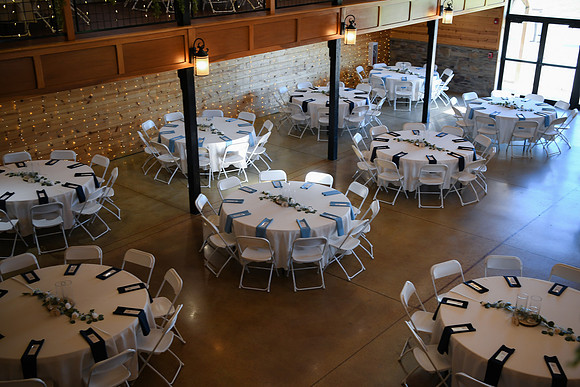 Piper & Eddie WD [reception] 072